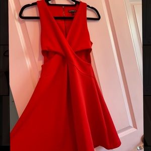 Express mini dress